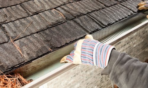 Best Gutter Guards For Pine Needles That Actually Keep Your Gutters Clear